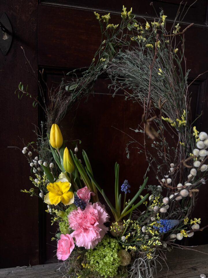 Abendblüte `Ostergruss`