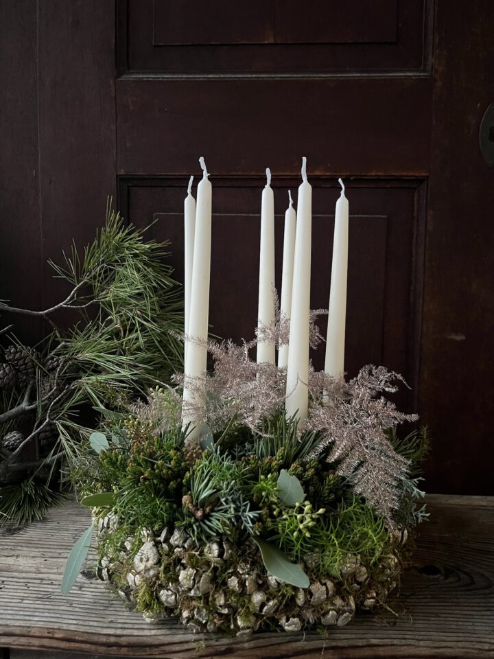 Abendblüte `Lichterkranz`